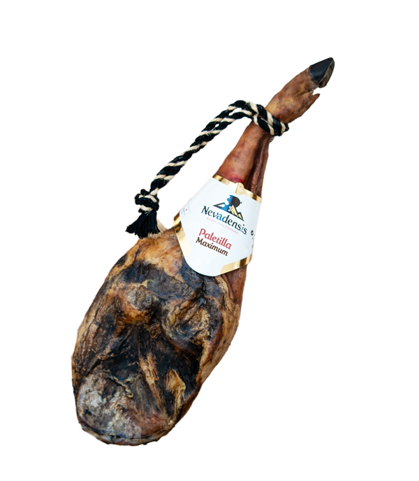 Paletilla Nevadensis Máximum